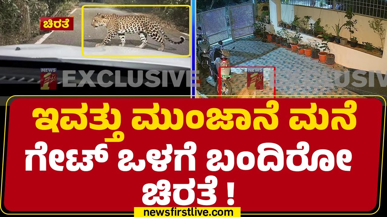 Anjanapuraದಲ್ಲಿ ಮತ್ತೆ ಚಿರತೆ ಕಾಟ..! | 9th Block | Leopard | @newsfirstkannada
