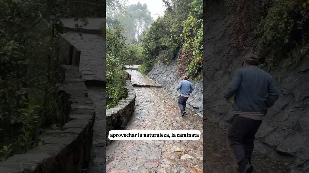 Cerro de Monserrate, Sendero Peatonal, Bogot&aacute; Natural #monserrate #caminatas