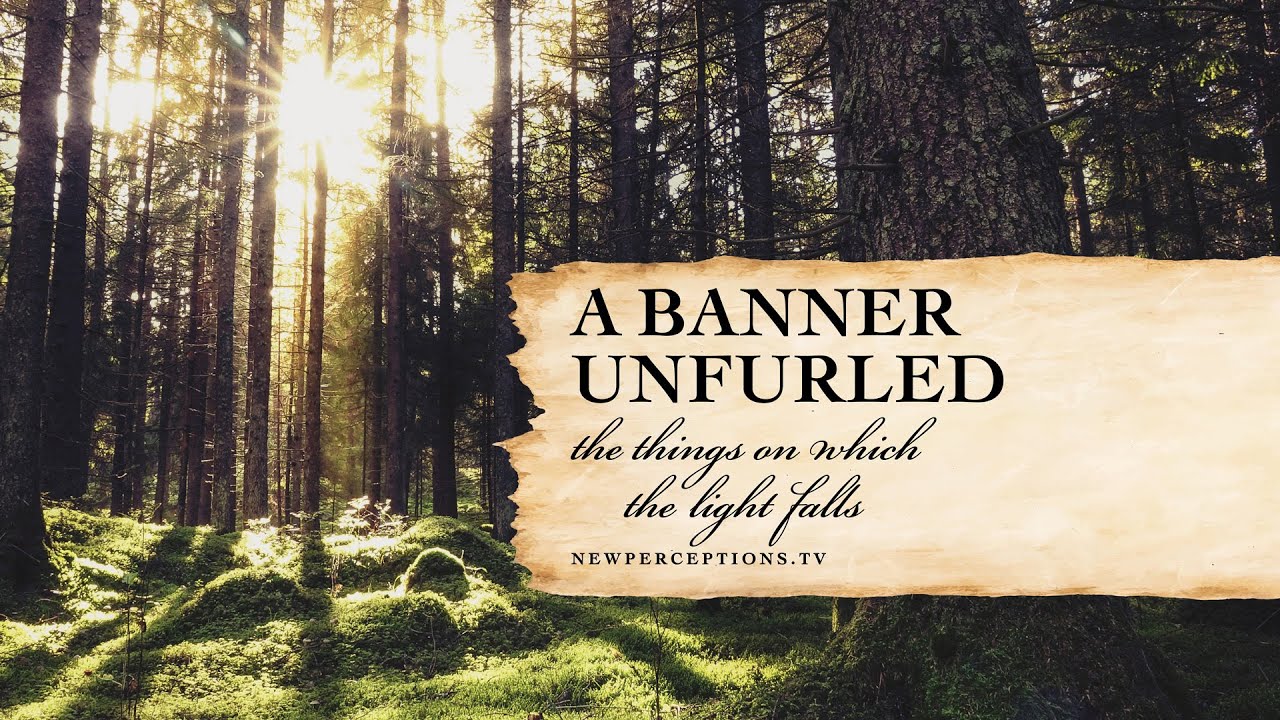 A Banner Unfurled: 'The Things on Which the Light Falls'