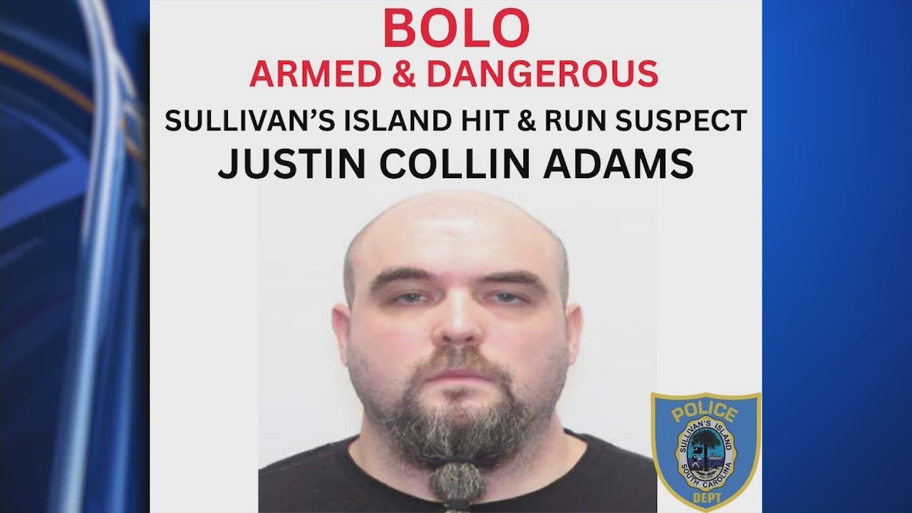Sullivan's Island hit-and-run suspect in custody