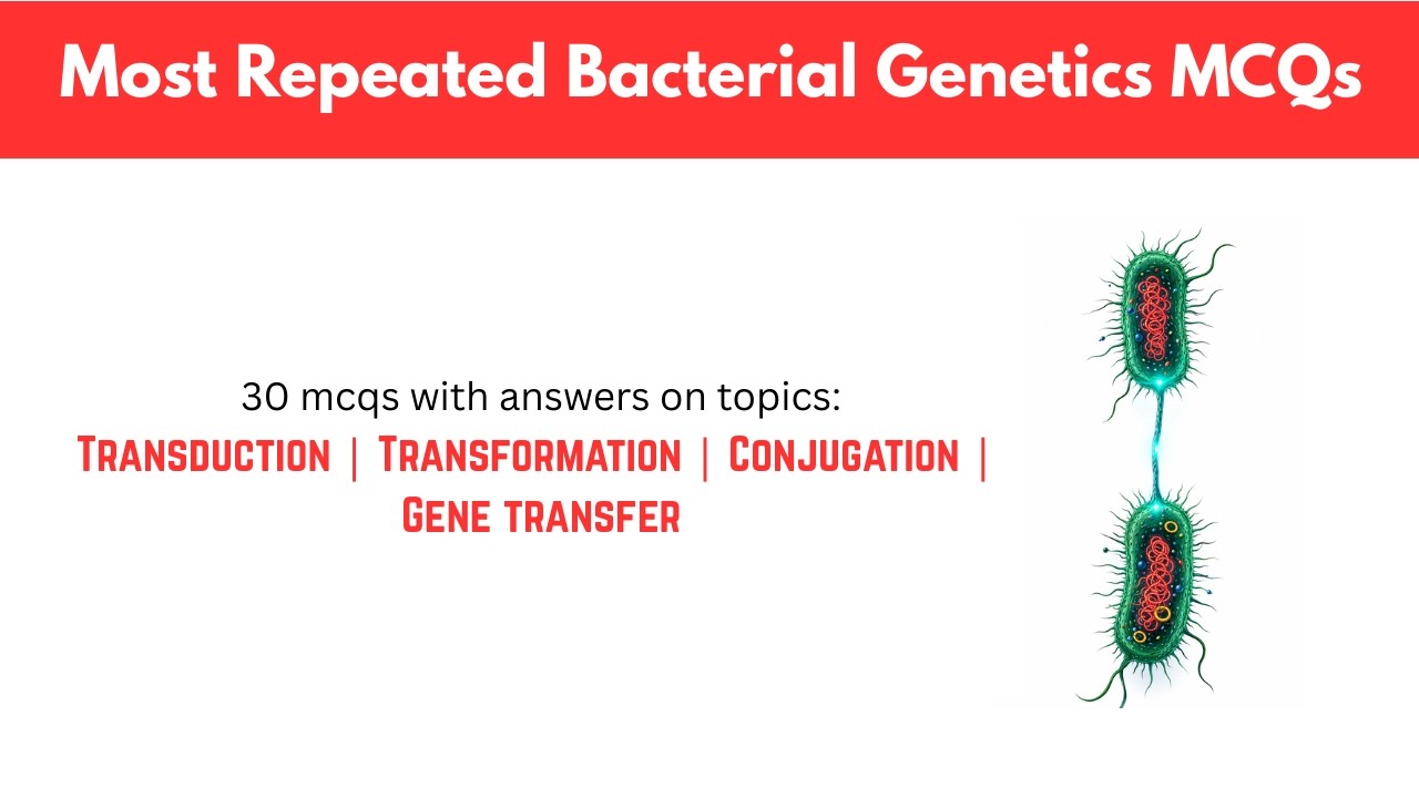 Top 30 Bacterial Genetics MCQs | Repeated Exam Questions with Explanations