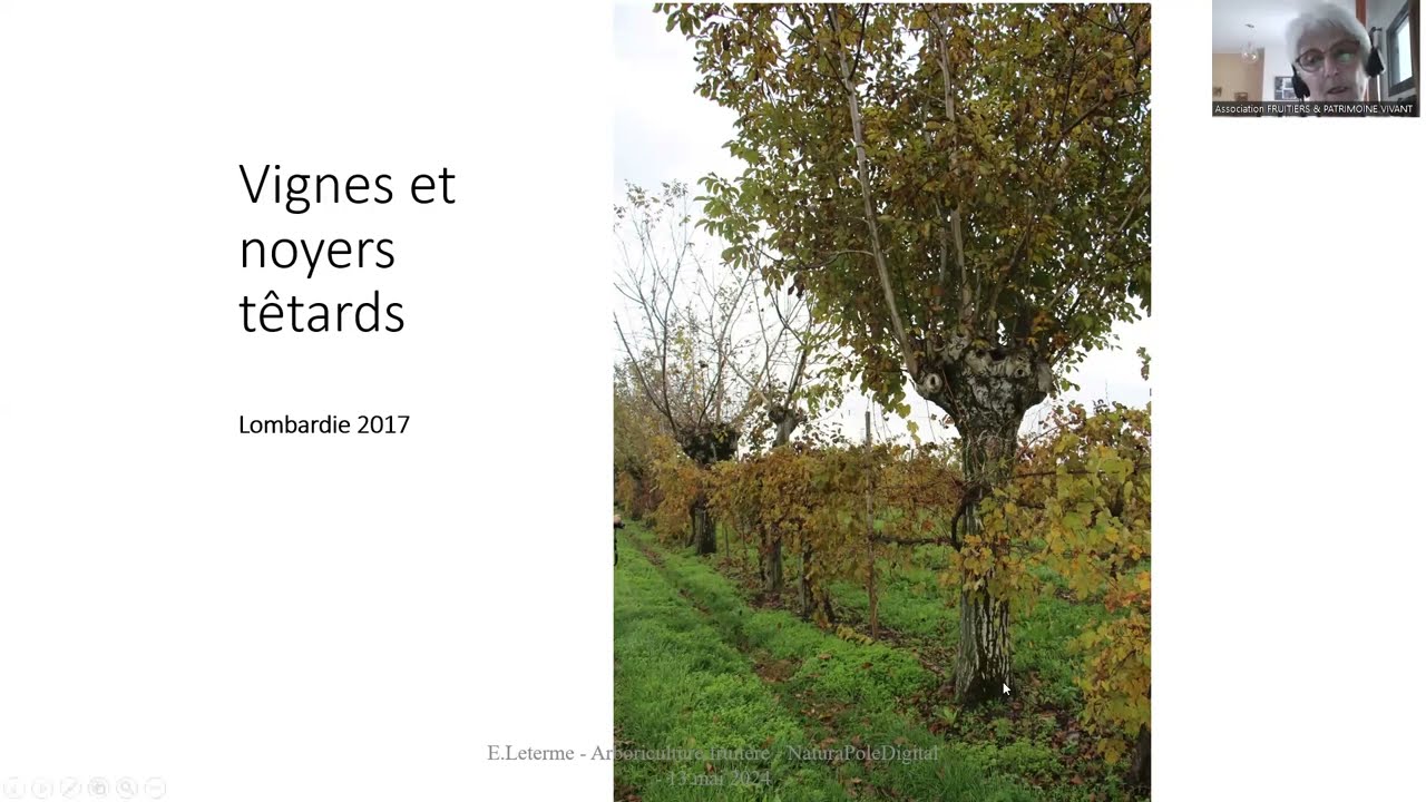 Evelyne Leterme, De l'arboriculture traditionnelle à l'arboriculture agroécologique / agroforestière