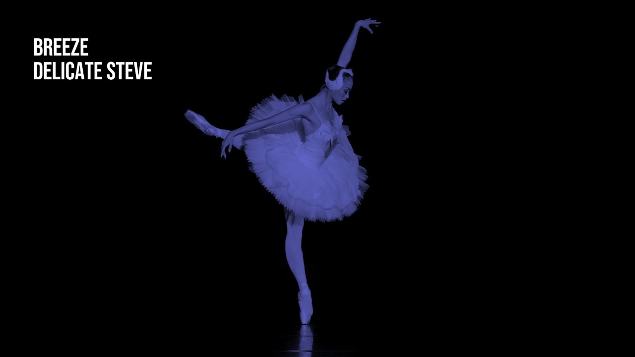 Breeze - Delicate Steve | 1 Hour