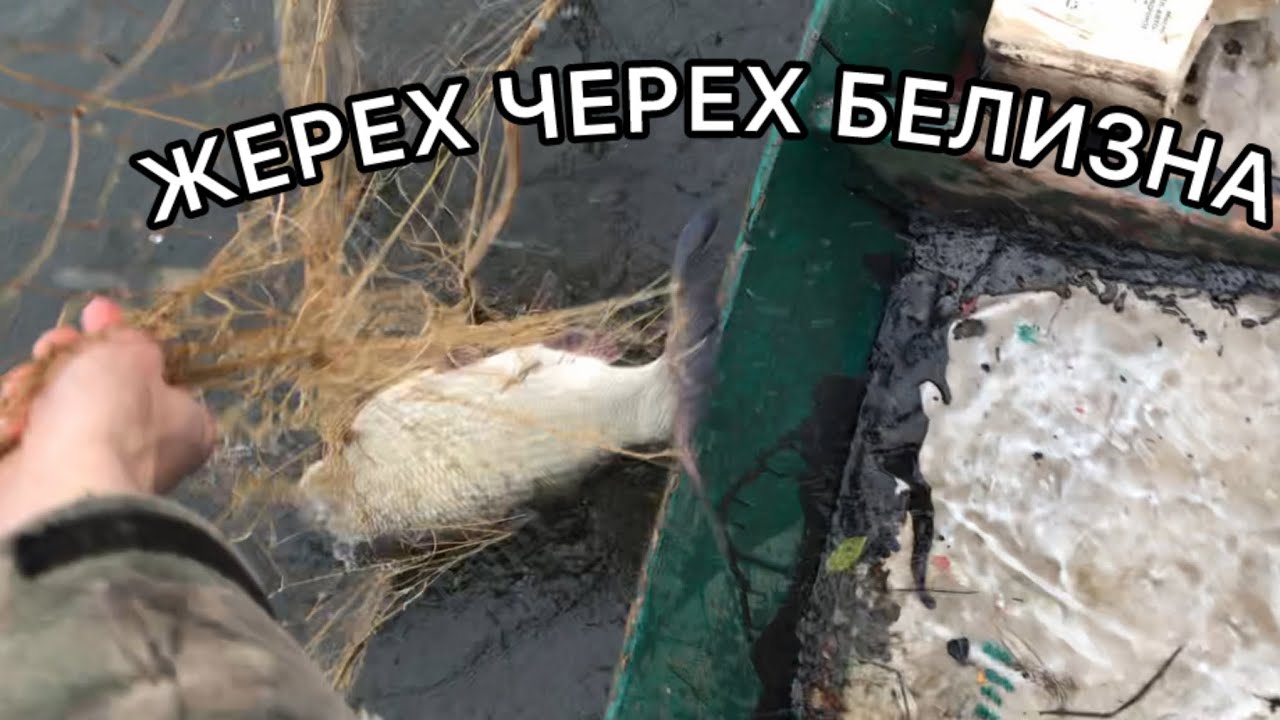 ЖЕРЕХ ВЫШЕЛ НА ОХОТУ!ПРОПАЛА ПЛАВАЮЩАЯ СЕТЬ!