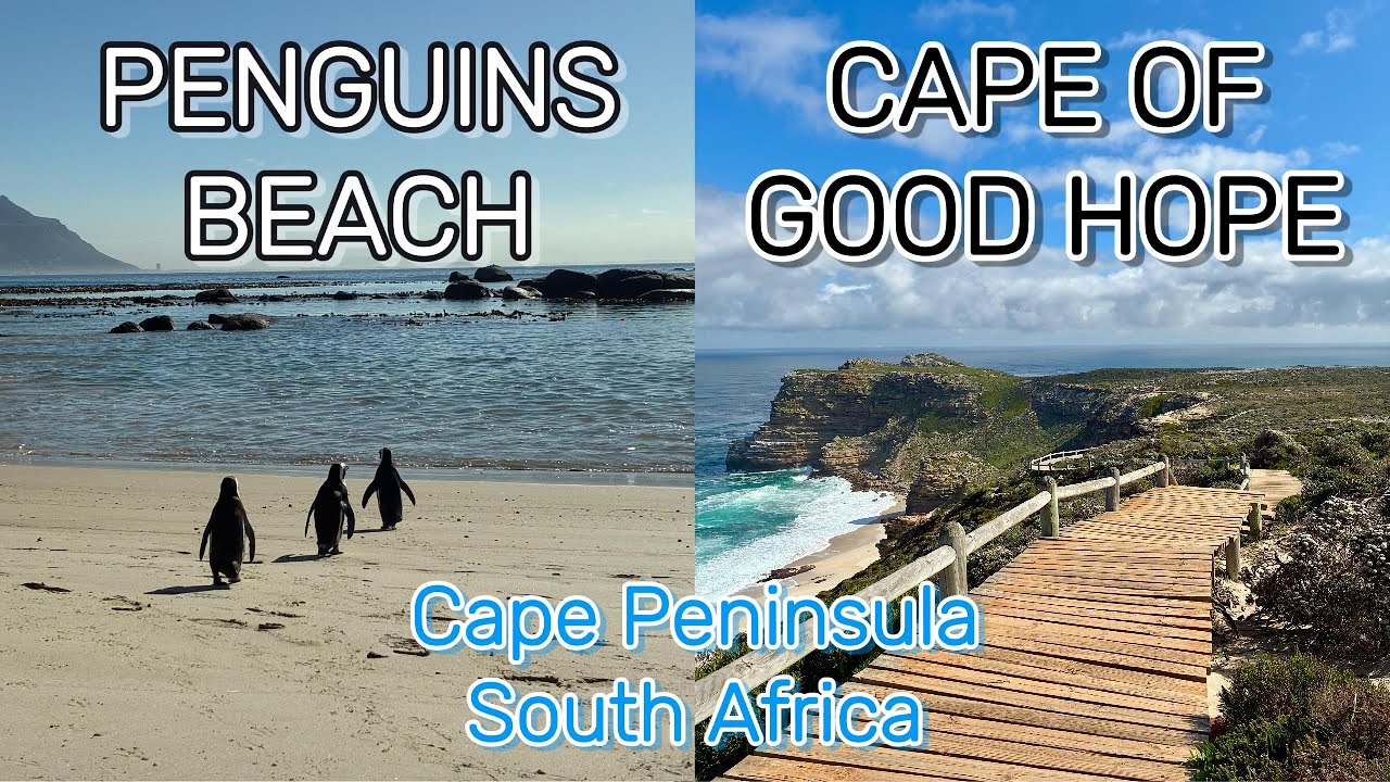 Africa Journey EP12 | Cape of Good Hope | Boulders Beach | Cape Peninsula, South Africa 🇿🇦