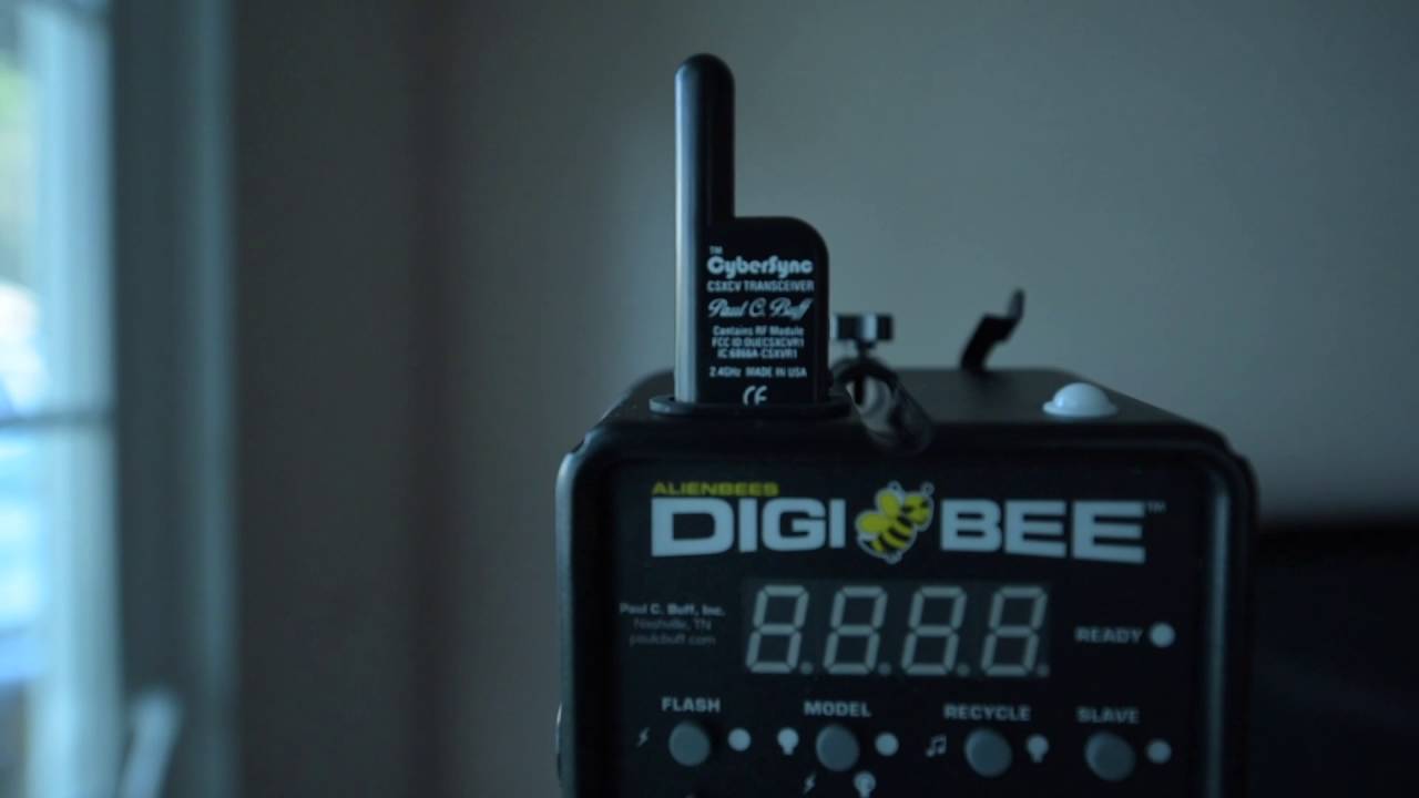 Почему вам стоит инвестировать в новый Digibee 800.