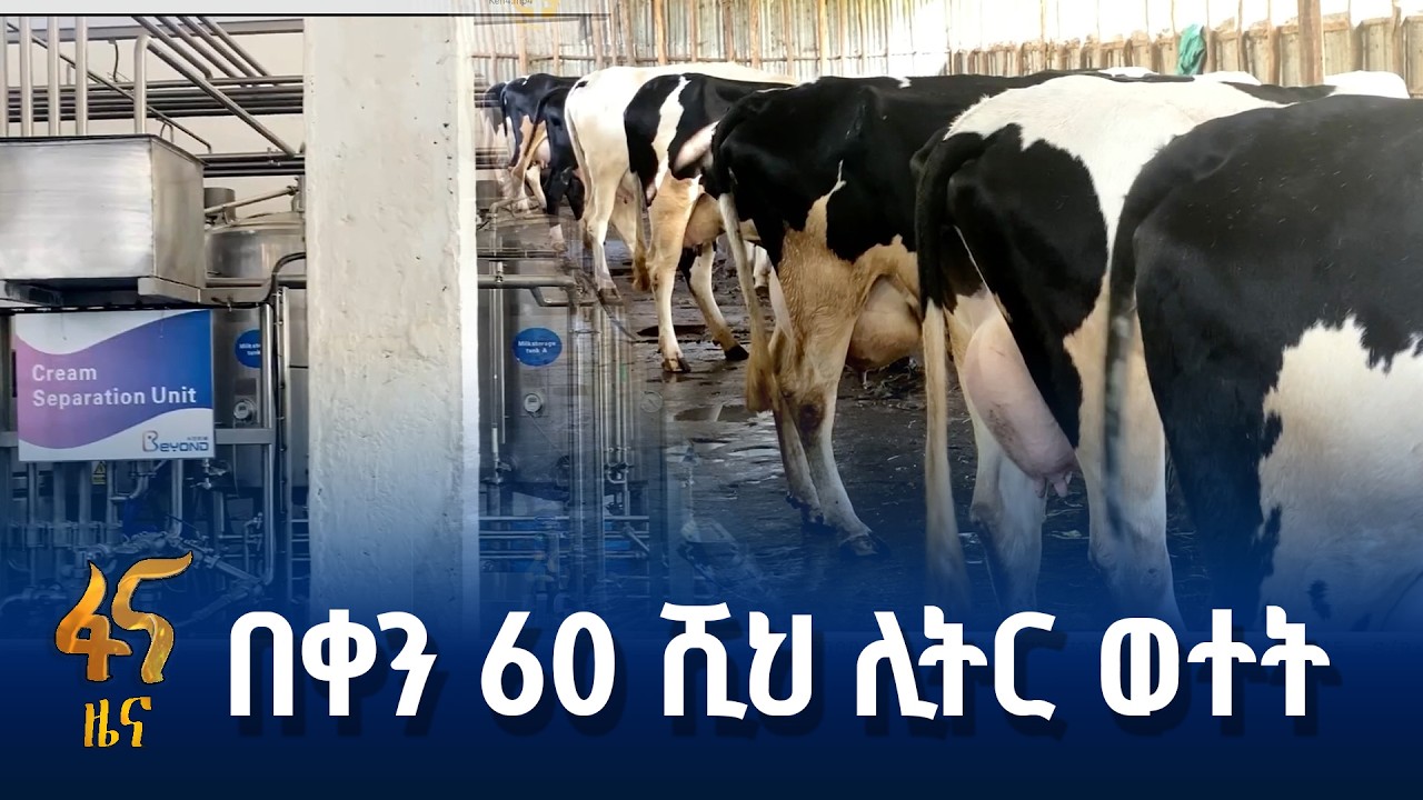 የወተት ልማት በኮምቦልቻ