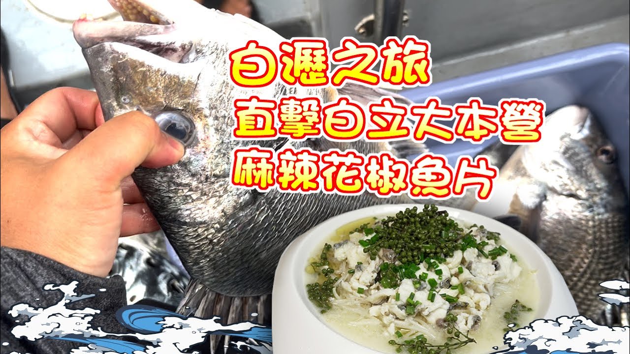 【漁人推介】 阿火帶大家到白瀝釣魚，直擊白立/白鱲大本營，如何準備搖籠蝦餌？回家製作麻辣花椒魚片 Catch and Cook｜How to make Sichuan peppercorn fish