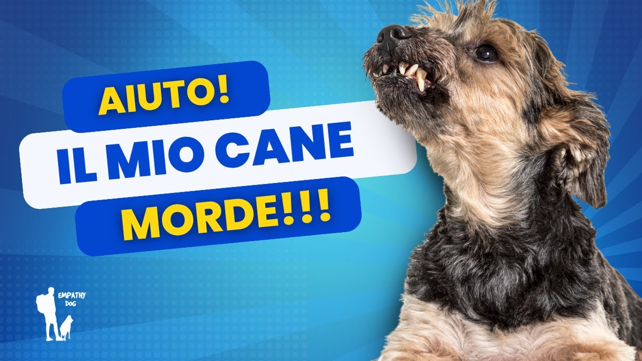 L'aggressività si può eliminare.