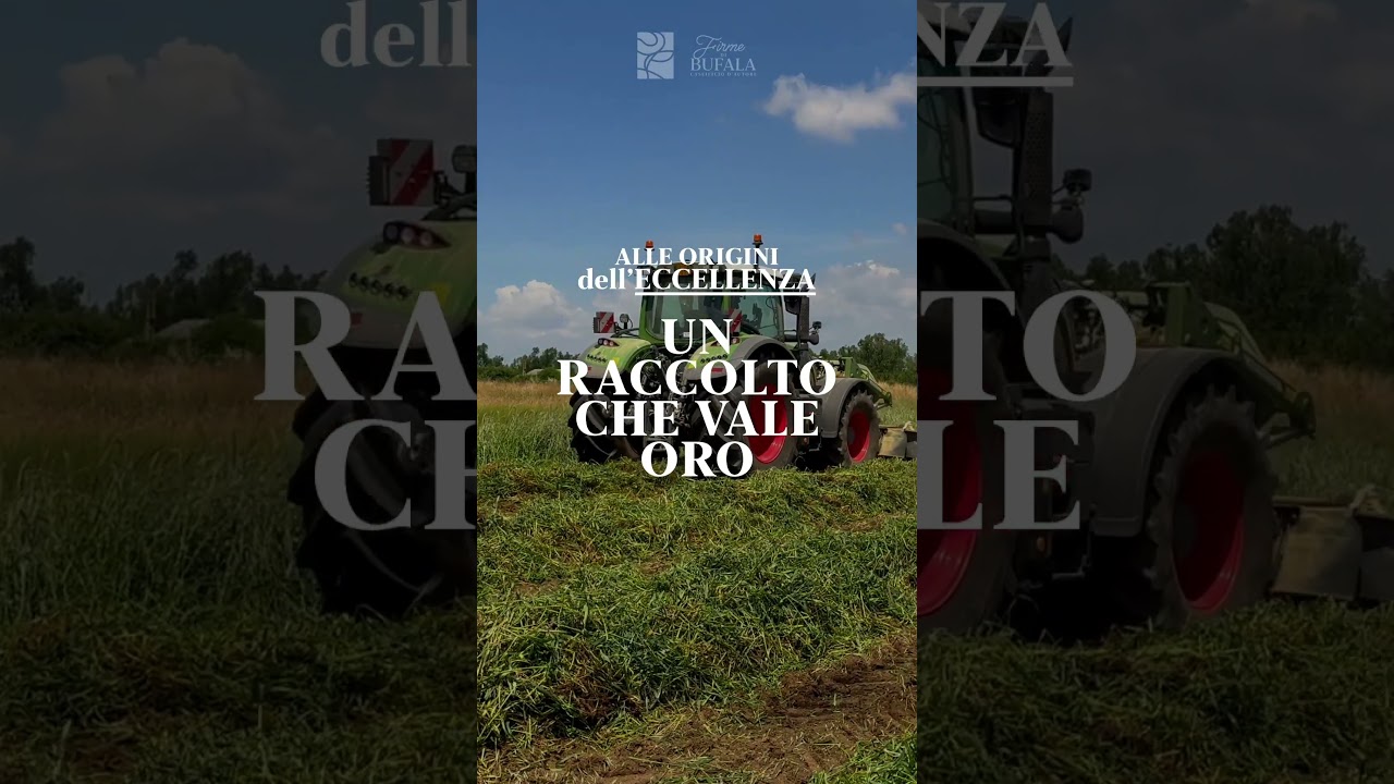 La #Fienagione &egrave; un momento molto particolare dell'anno, decisivo per tutta la produzione.