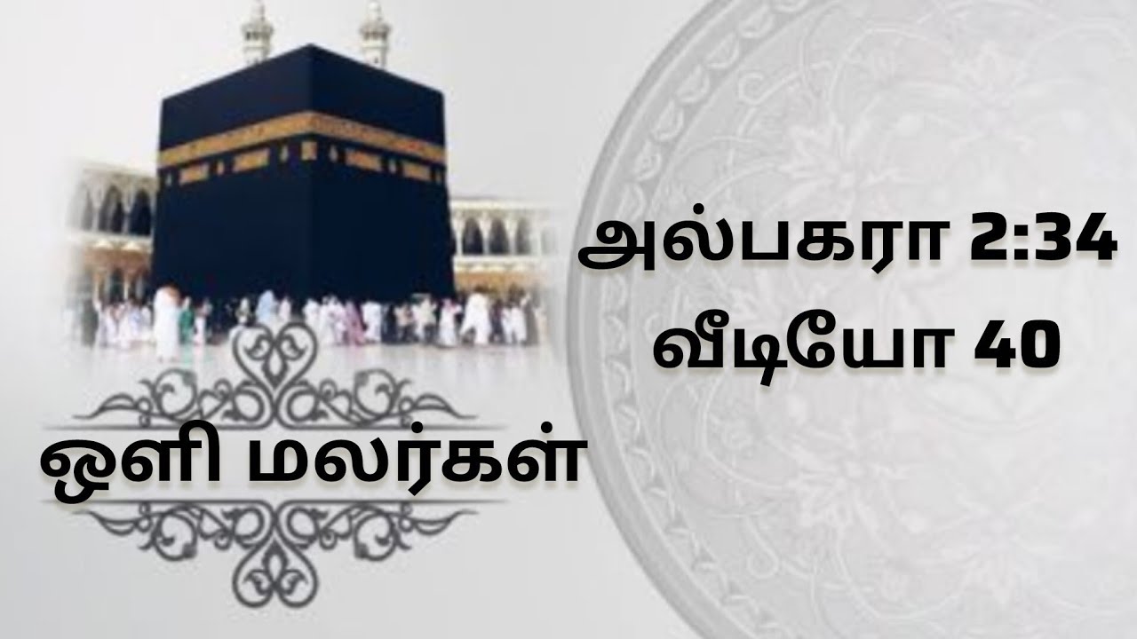 அல்பகரா 2:34 #வீடியோ 40 #olimalargal #tafseeribnekaseer #albaqarah 