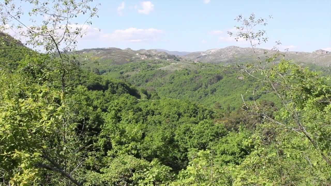 Fafe (CIM do Ave) - mini-documentário (PT)