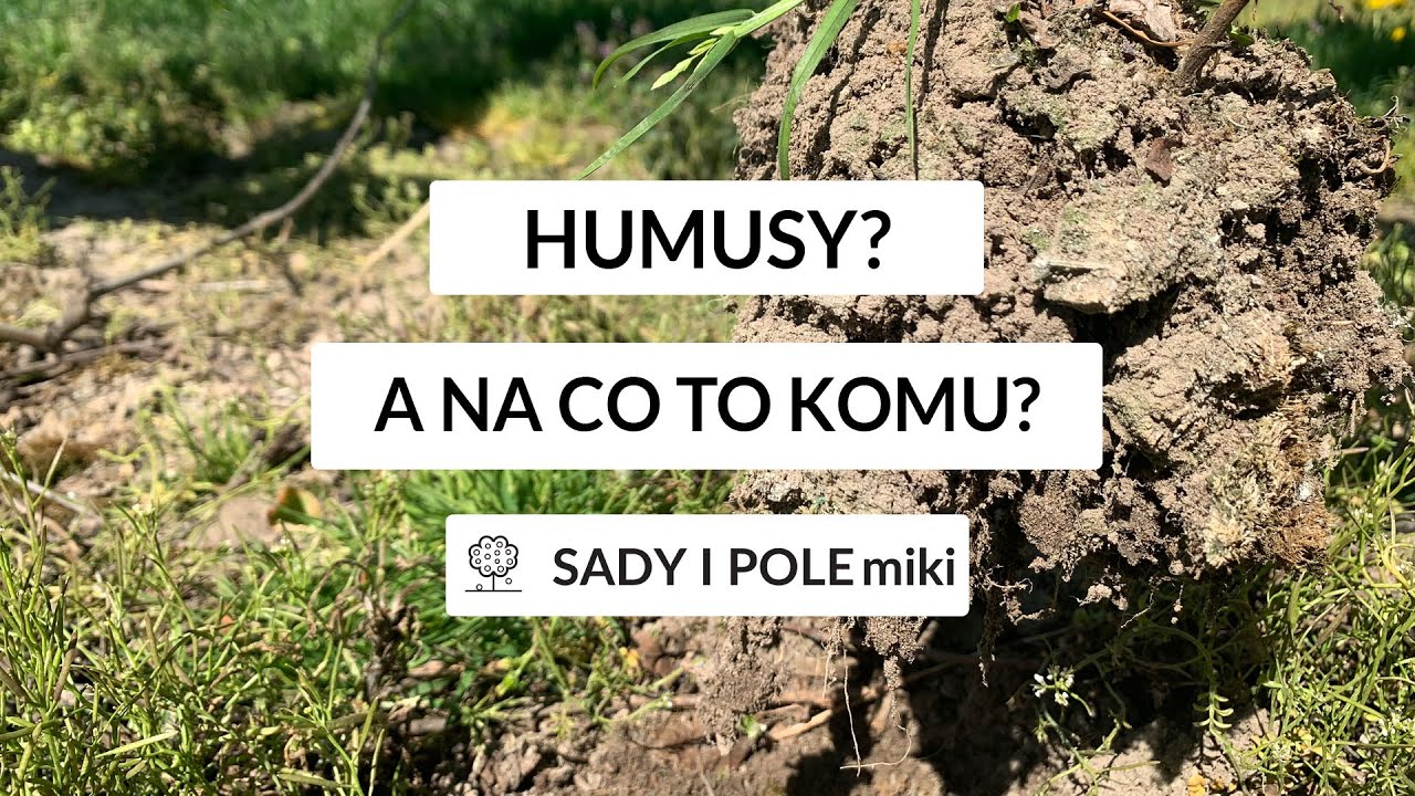 Humusy? A na co to komu? SADY i POLEmiki odc. 04/21