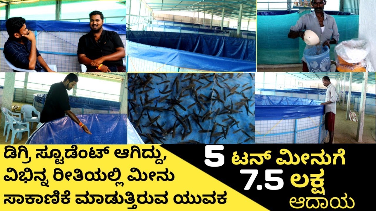 Fish farming in Karnataka |  Murrell fish farming in Karnataka | biofloc structure | 85536 02573 |