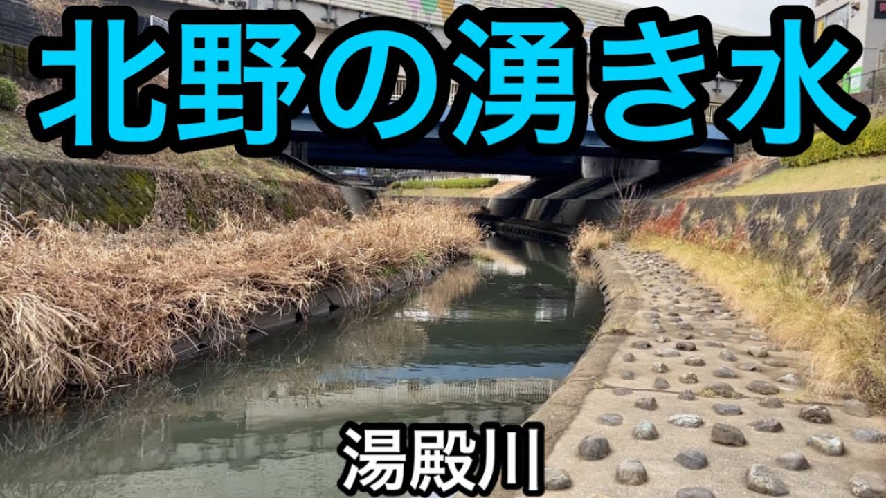 打越弁財天や北野周辺の湧き水を見る【東京都八王子市】