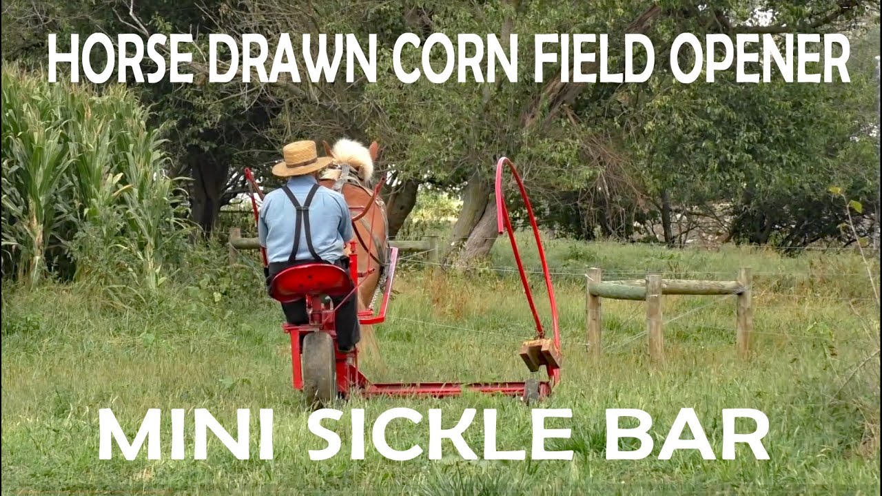 AMISH INGENUITY...HORSE DRAWN Mini Sickle Bar Corn Field Opener Lancaster County, Pa