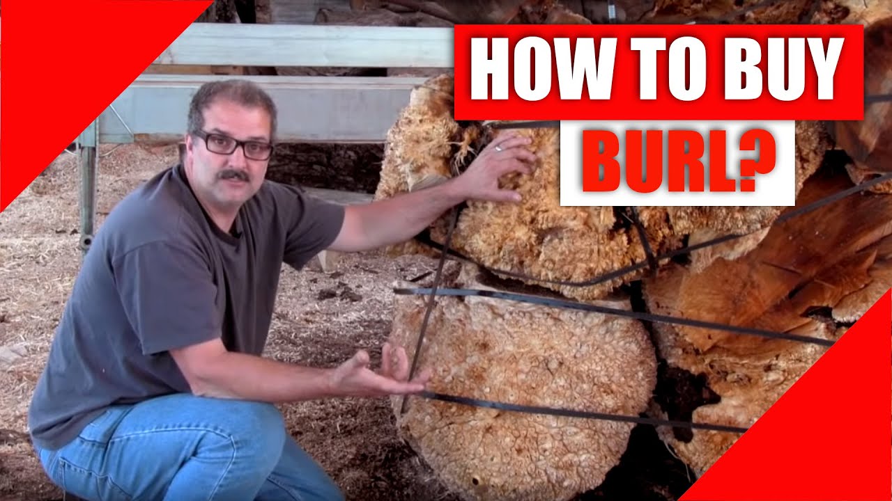 Burl Hunter — Как купить Burl
