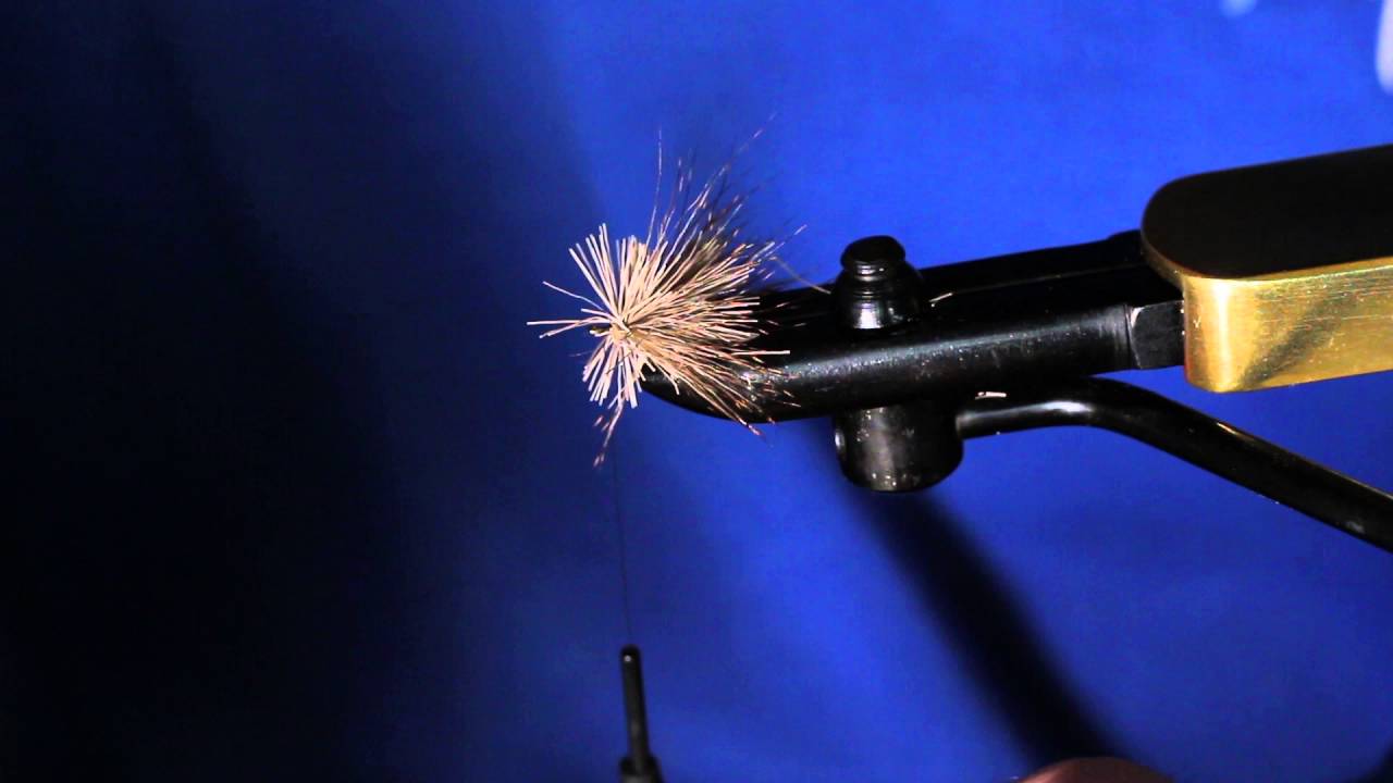 How to tie a Dog biscuit fly