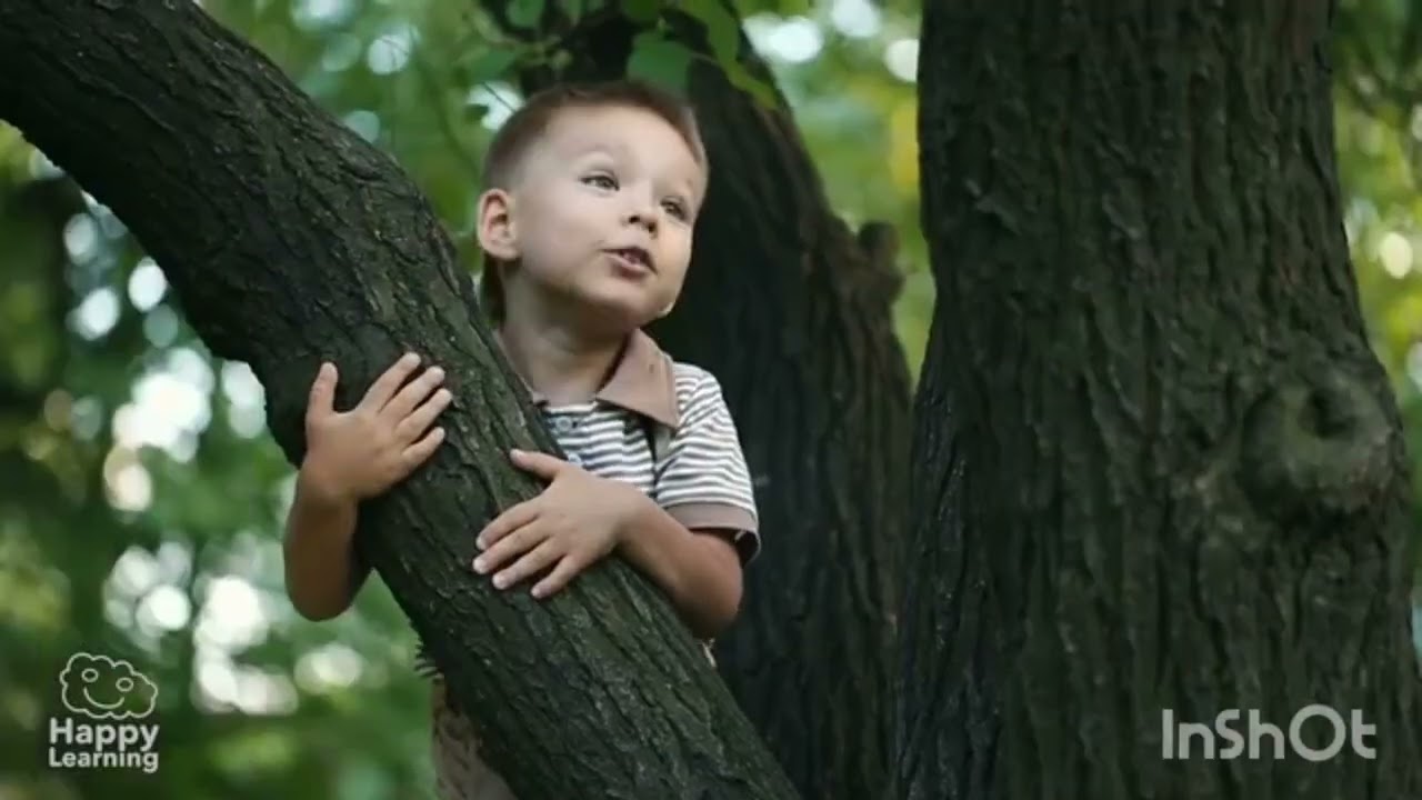 15 de febrero de 2026