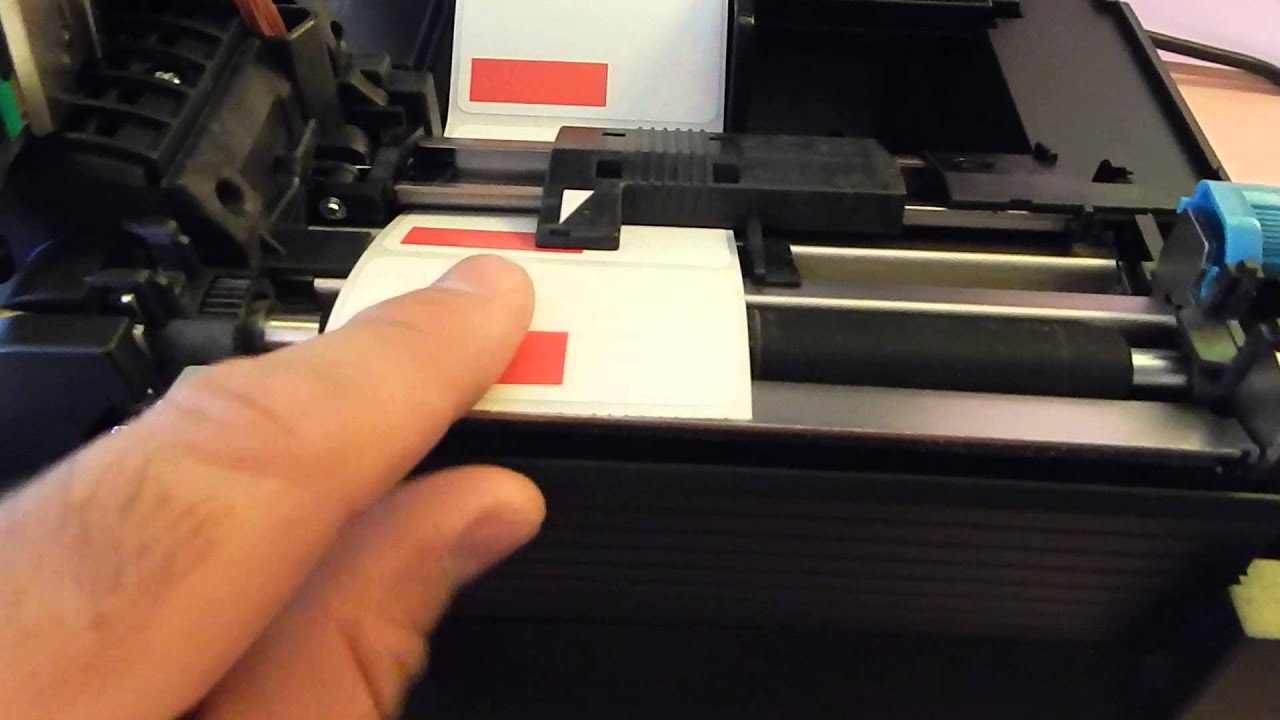 cls521 labels