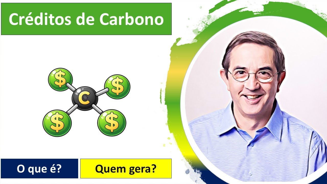 Créditos de carbono: o que é, como funciona, quem gera e quem compra?