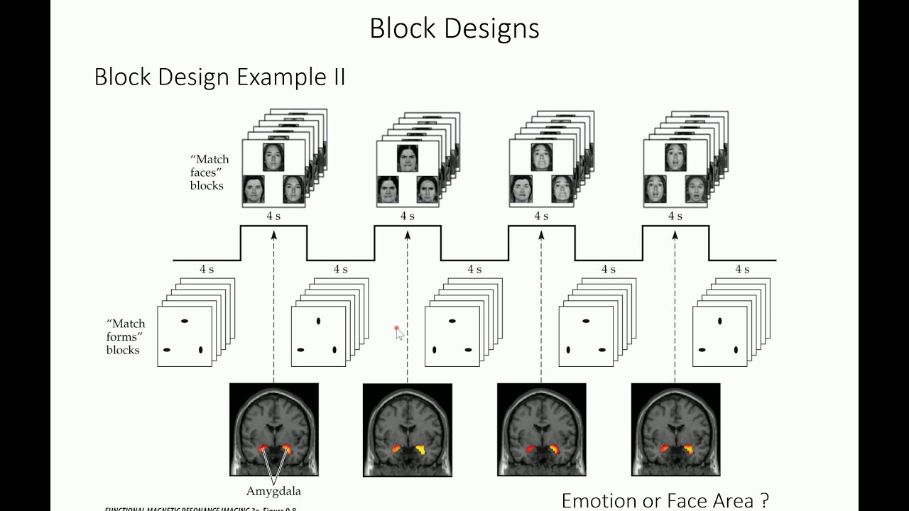 Block and event-related designs
