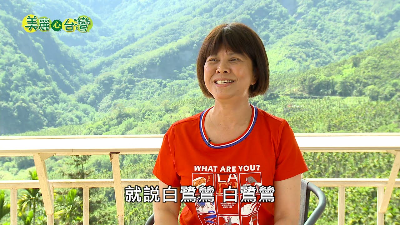 【嘉義梅山】萬鷺朝鳳 全台最佳觀鷺景觀餐廳 | 有機無毒 | 278 | #美麗心台灣