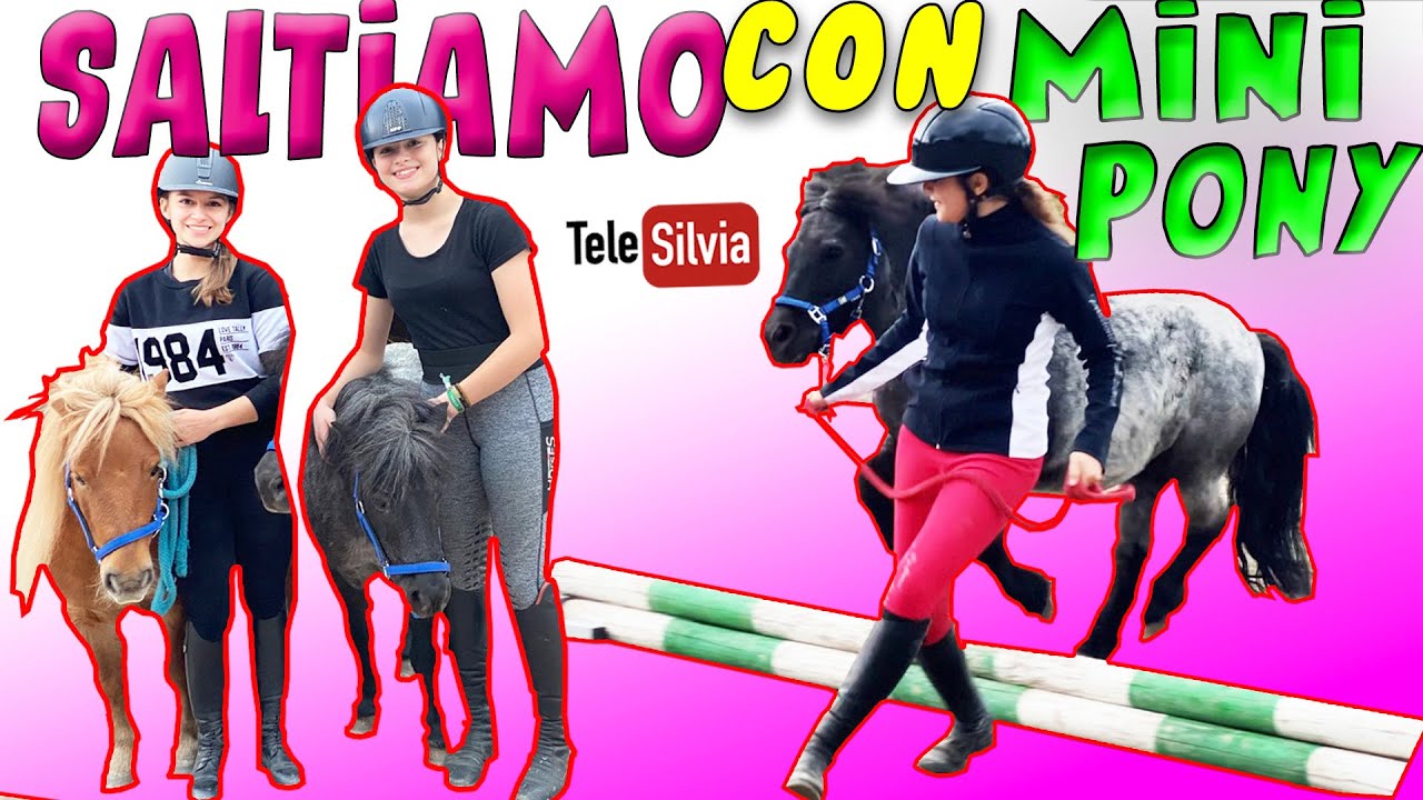 FACCIAMO SALTARE I NOSTRI MINI PONY - DIVERTIMENTO ASSICURATO!!!