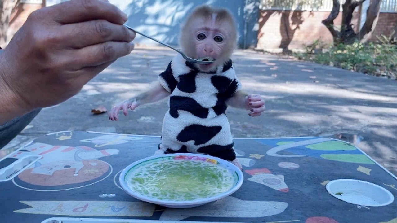 Sweet B0y Ronaldo Standing Up So Pround Eating Desserts