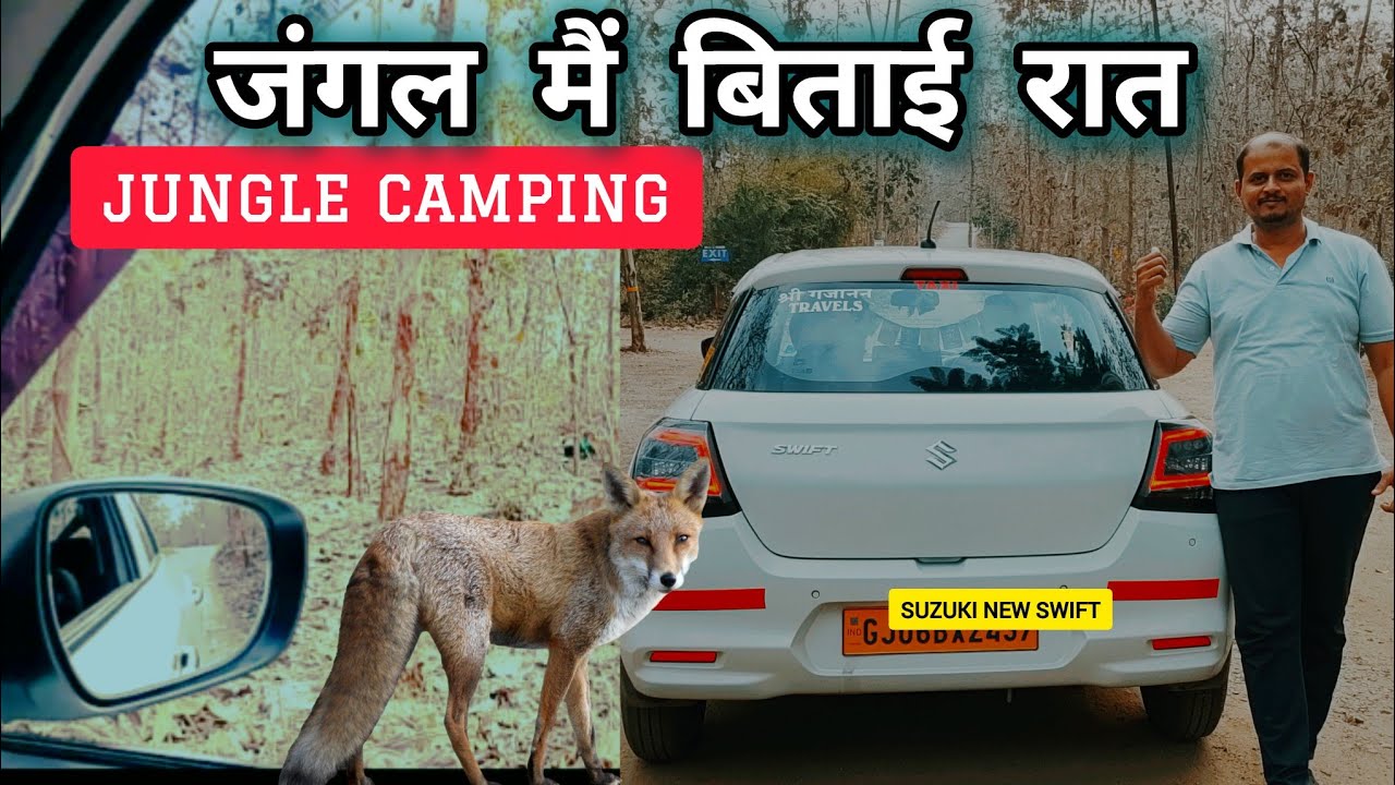 Raw Wildest Experience In Netrang Wildlife Sanctuary 😯 #wildlife #adventure #travel 