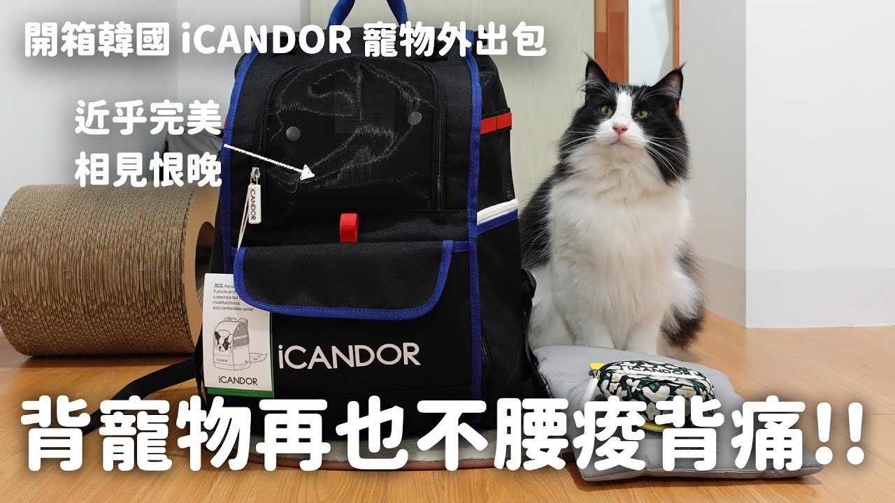 近乎完美的寵物外出包！和那堤開箱：韓國 iCANDOR 寵物外出包｜又輕又穩不變形 EP112