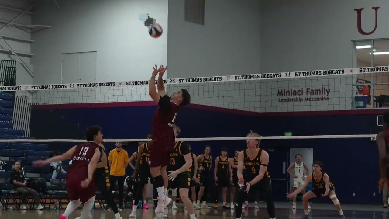 STU Bobcats Mens Volleyball Highlights vs Lees McRae