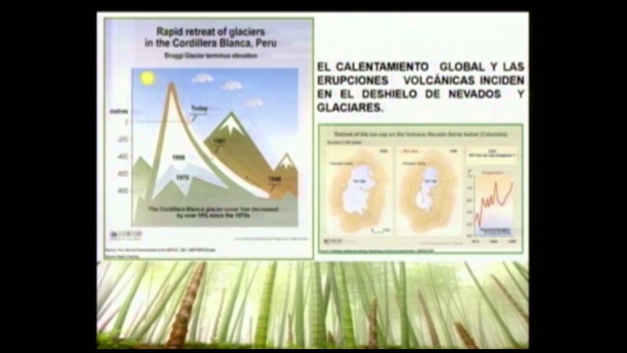 El bambú, la madera del futuro - Ing. Eduardo D'Esezarte