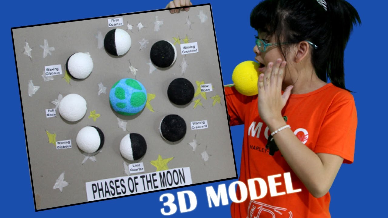 3D SUPER MODEL - PHASES OF THE MOON