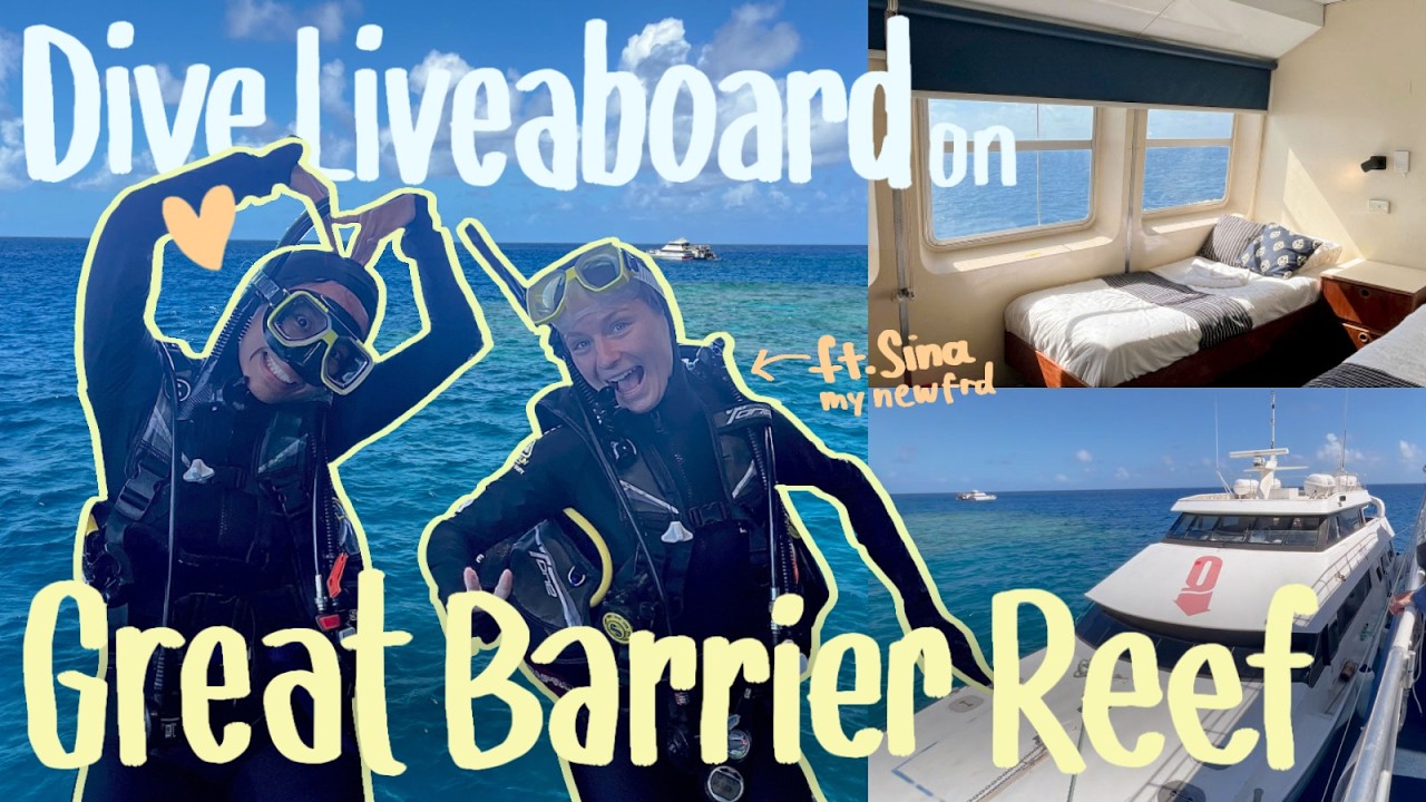[eng sub] 兩日一夜大堡礁船宿體驗🤿潛水愛好者的夢想之旅⛴️Dive Eat Sleep repeat!🤪😻Diving at Great Barrier Reef🪸🛸完美結束澳洲之旅!🎬