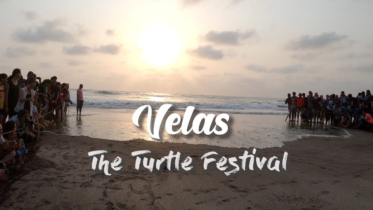 Velas - The Turtle Festival | 2019 | RAGHU RAAHI