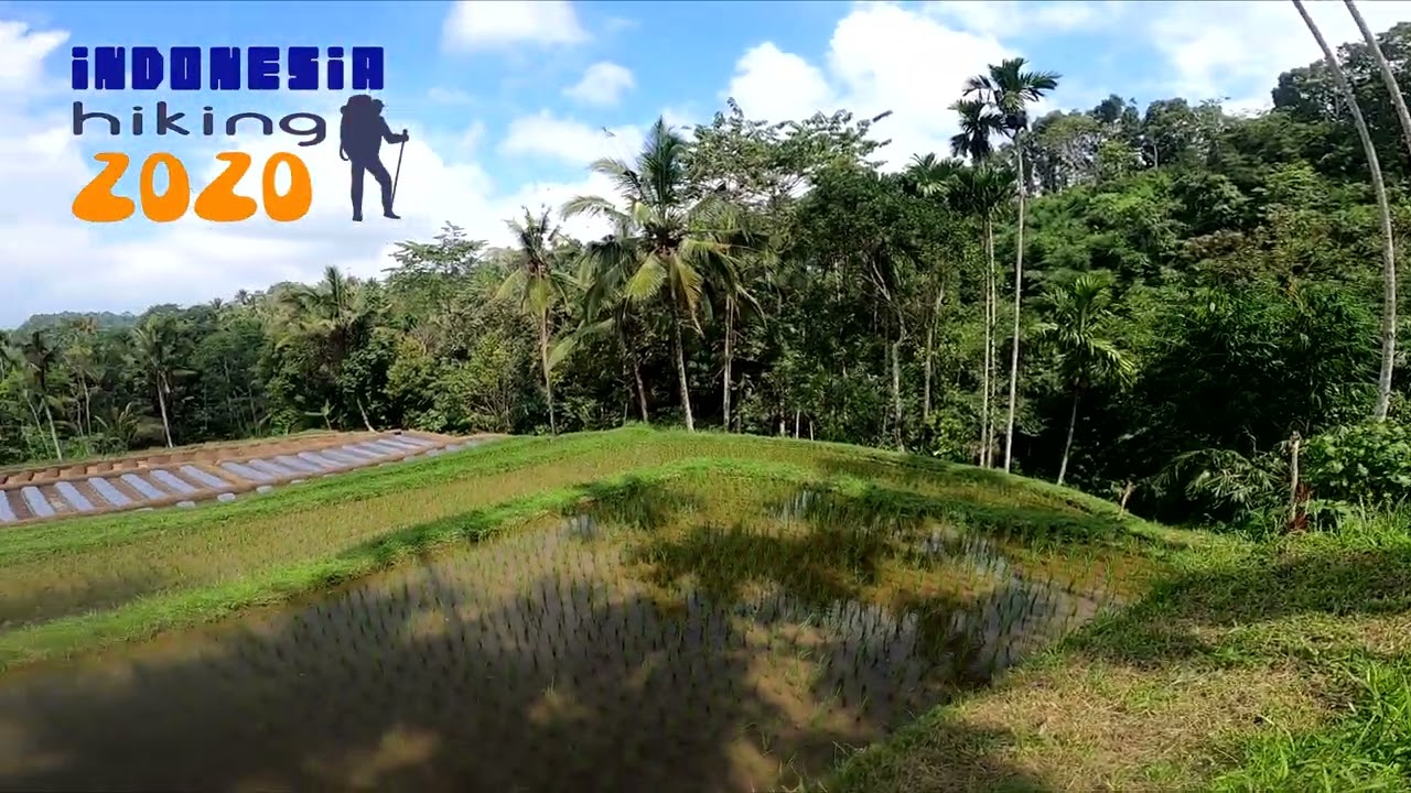 Spectacular Views | The Never Ending Beautiful Valleys Of Banyuwangi Regency | Banyuwangi, INDONESIA