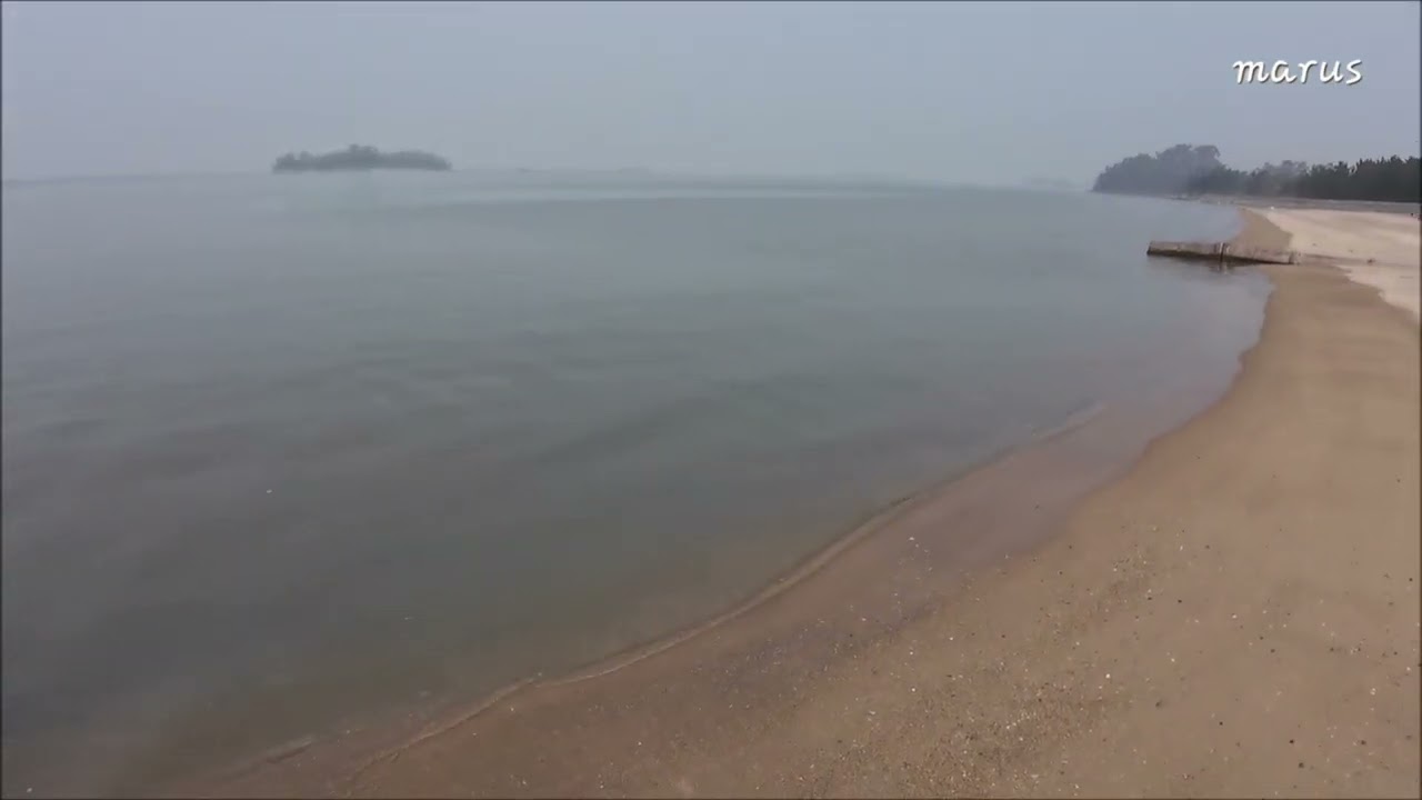무안송계송림숲해변