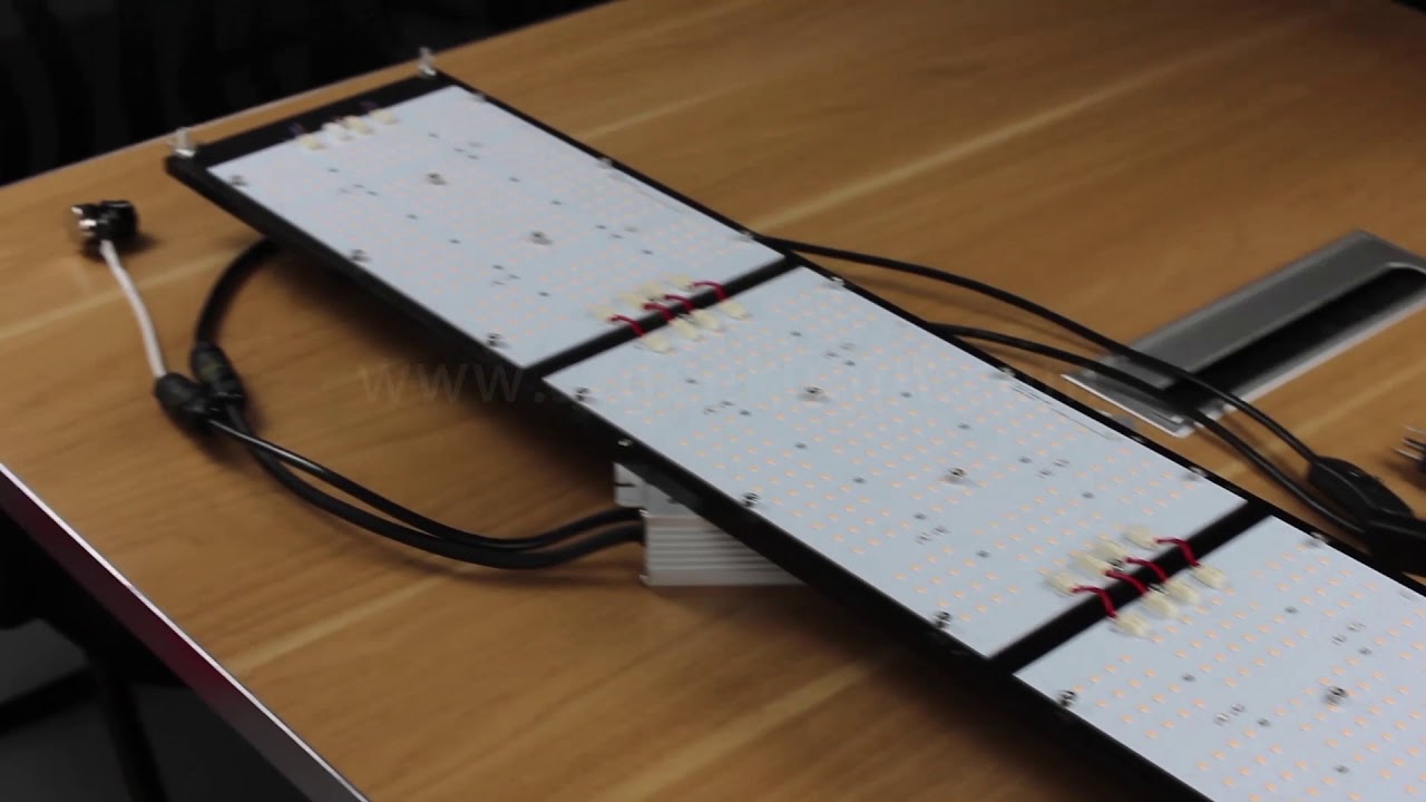 320 watt quantum board led monster board v4 plus lm301h cree 660nm with LG uv cree ir pre-assemble
