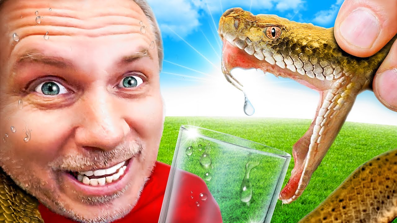 ¡Veneno de serpiente vs Sangre humana!
