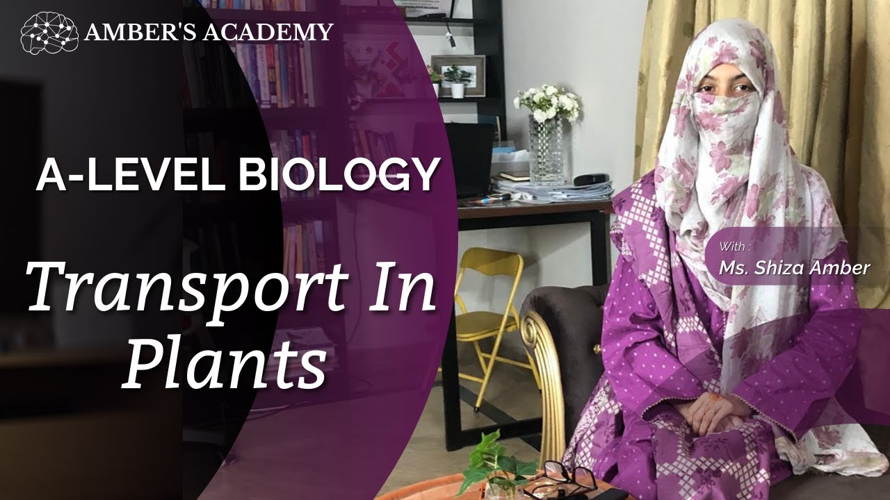 Transport in Plants (Part 4) Explained | AS Level Biology (Cambridge 9700)