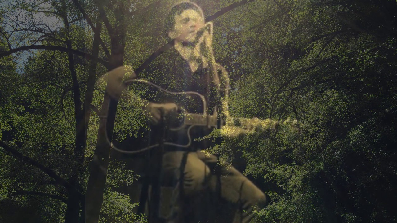 Joey Marcantonio - I Went To The Woods (Lyric Video)
