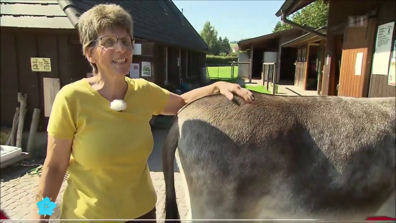 «Mini Schwiiz, dini Schwiiz» mit Edith Müller, SRF1