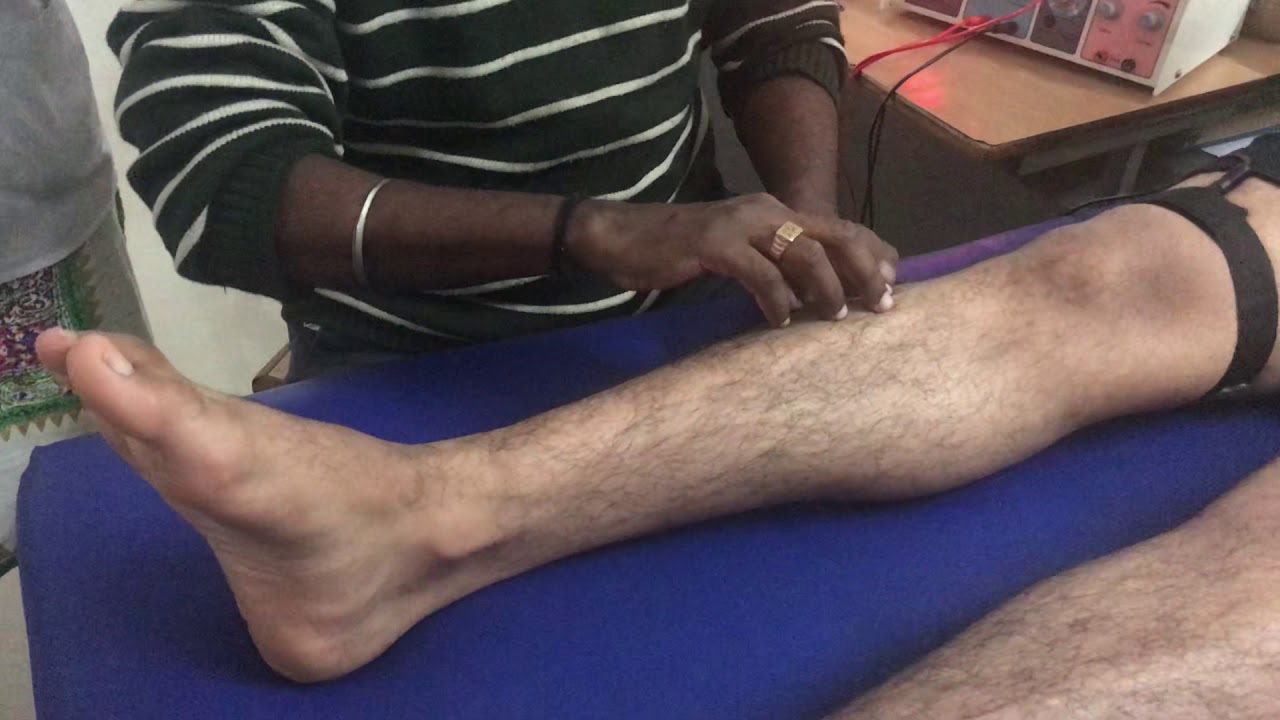 SD Curve plotting for Tibialis Anterior Part 1