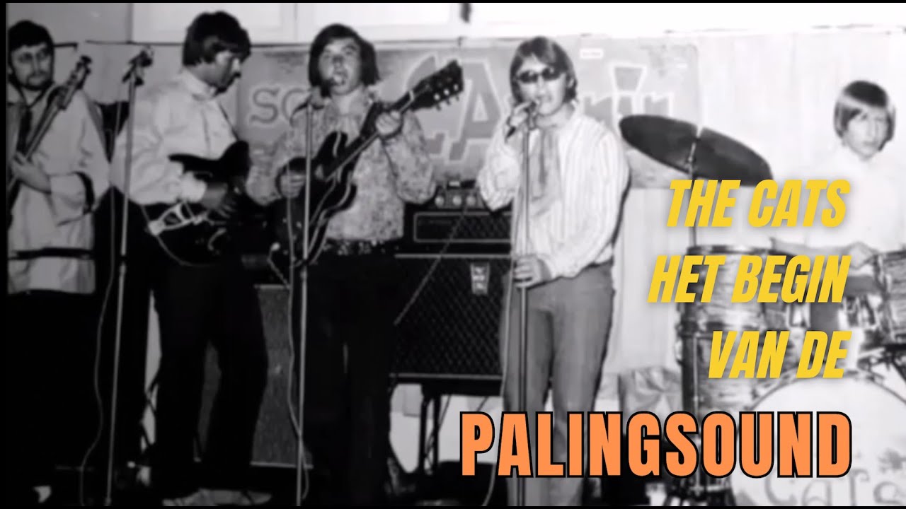De Palingsound van The Cats: speciaal en uniek