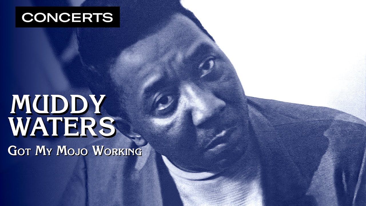 Muddy Waters - Got My Mojo Working | LIVE, 1963-1978 | Qwest TV