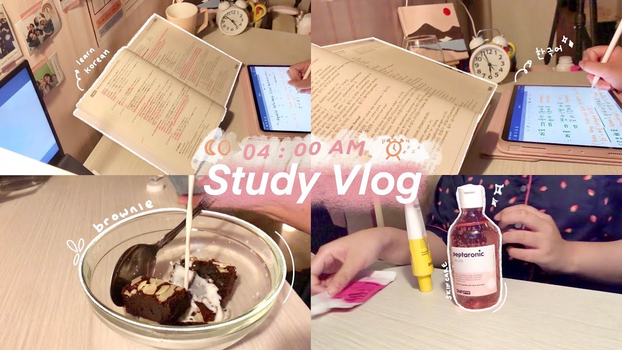 04 : 00 AM Study Vlog 🌜| Learn Korean | Indonesia 🌞
