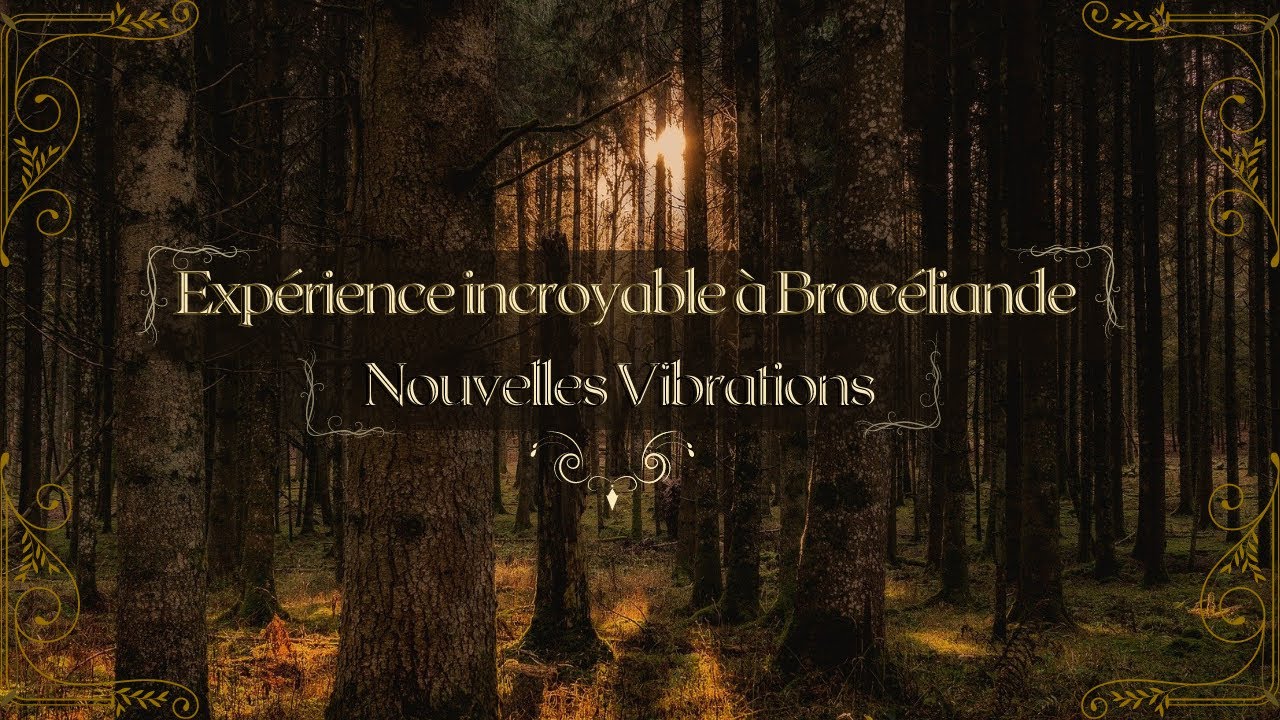 J'ai vécu une expérience incroyable à Brocéliande (+ conseils) !