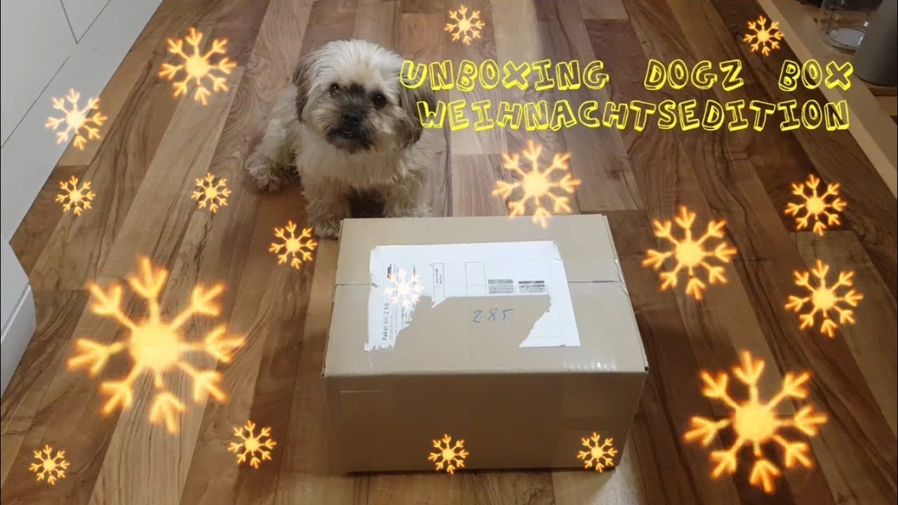 Hurra,  die Dogz Box ist da { UNBOXING WEIHNACHTSBOX } !