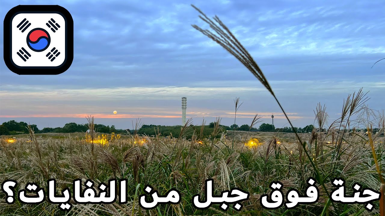 الجنة فوق جبل من النفايات؟؟؟؟  حديقة السماء في سيؤول Seoul Haneul Park VLOG